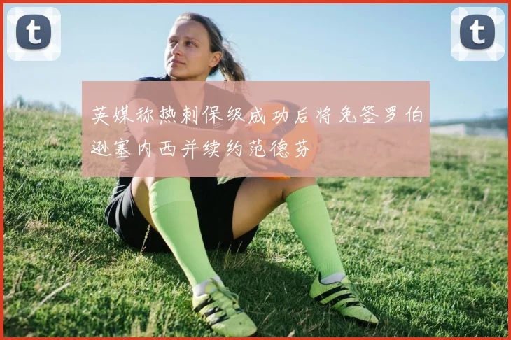 英媒称热刺保级成功后将免签罗伯逊塞内西并续约范德芬